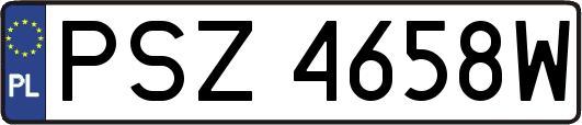PSZ4658W