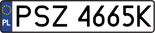 PSZ4665K