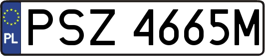 PSZ4665M