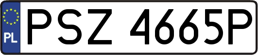 PSZ4665P