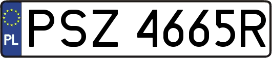 PSZ4665R