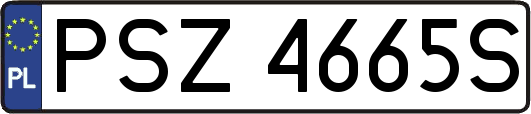 PSZ4665S