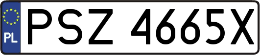 PSZ4665X