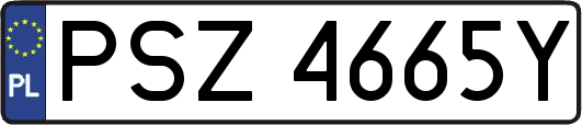 PSZ4665Y