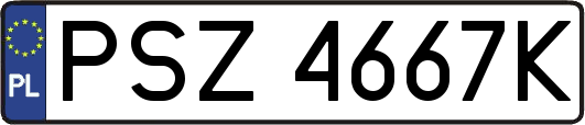 PSZ4667K