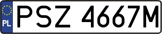 PSZ4667M
