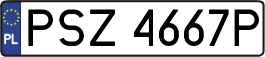 PSZ4667P
