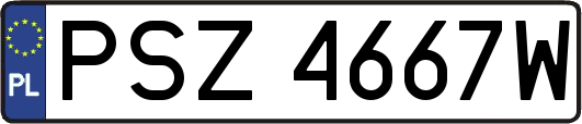 PSZ4667W