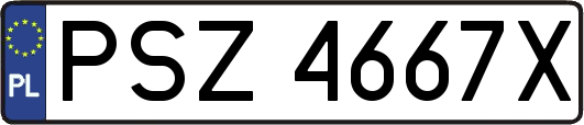 PSZ4667X