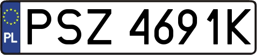 PSZ4691K