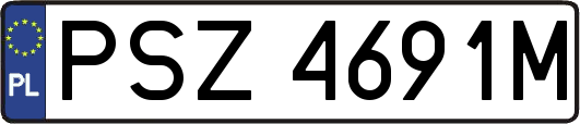 PSZ4691M