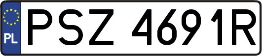 PSZ4691R
