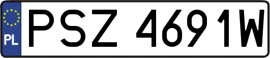 PSZ4691W