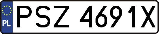 PSZ4691X