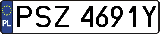 PSZ4691Y