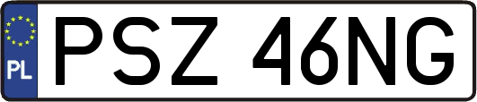 PSZ46NG