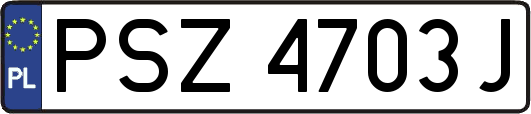 PSZ4703J