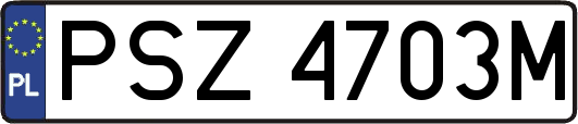 PSZ4703M