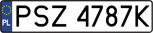 PSZ4787K