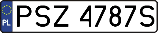 PSZ4787S