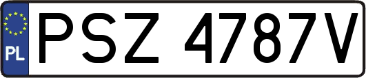 PSZ4787V