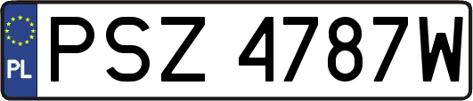 PSZ4787W