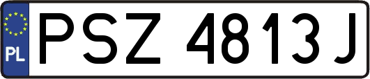 PSZ4813J