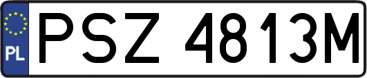 PSZ4813M
