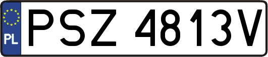 PSZ4813V