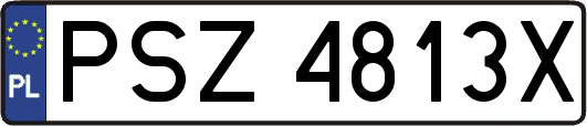 PSZ4813X