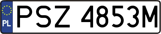 PSZ4853M