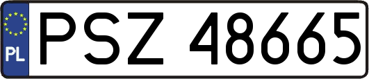 PSZ48665