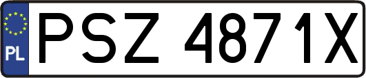 PSZ4871X