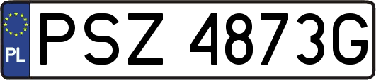 PSZ4873G