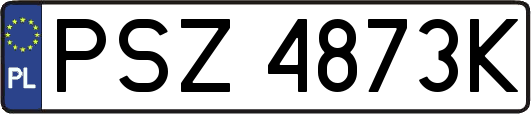PSZ4873K
