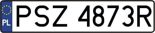 PSZ4873R