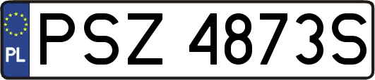 PSZ4873S