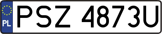 PSZ4873U