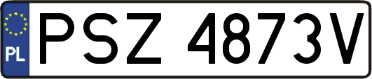 PSZ4873V