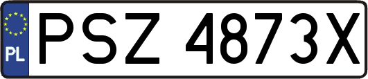PSZ4873X