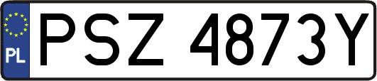 PSZ4873Y