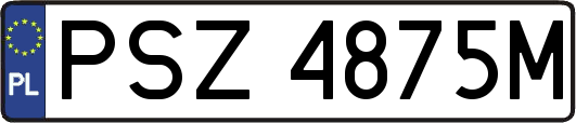 PSZ4875M