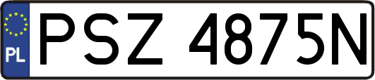 PSZ4875N