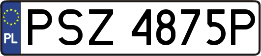 PSZ4875P