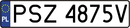 PSZ4875V