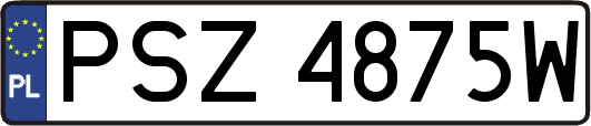 PSZ4875W