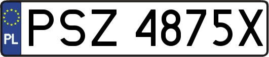 PSZ4875X