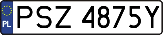 PSZ4875Y