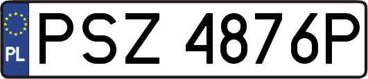 PSZ4876P