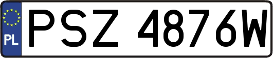 PSZ4876W